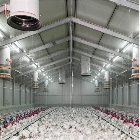 Why Metal Roofing is Ideal for Poultry Houses and Commercial 